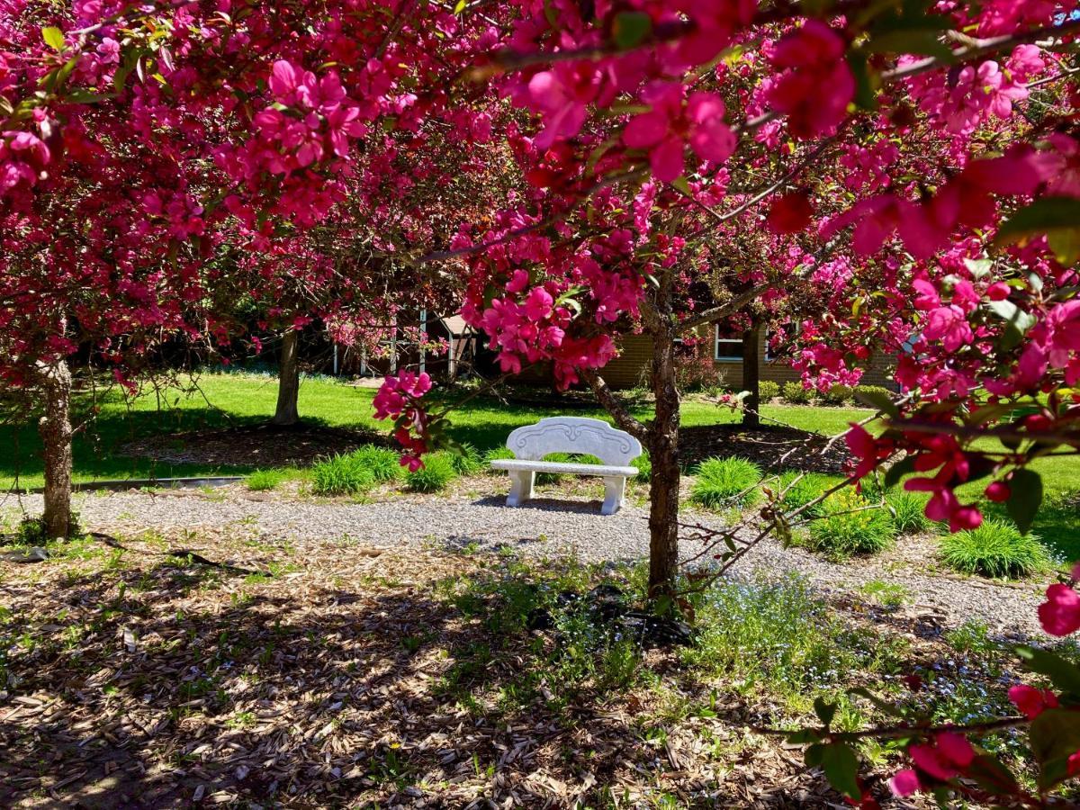Garden Grove Retreat & Lodging Near Pictured Rocks, Fayette, Trails Eksteriør bilde