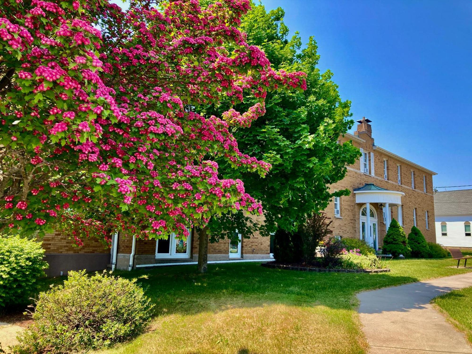 Garden Grove Retreat & Lodging Near Pictured Rocks, Fayette, Trails Eksteriør bilde